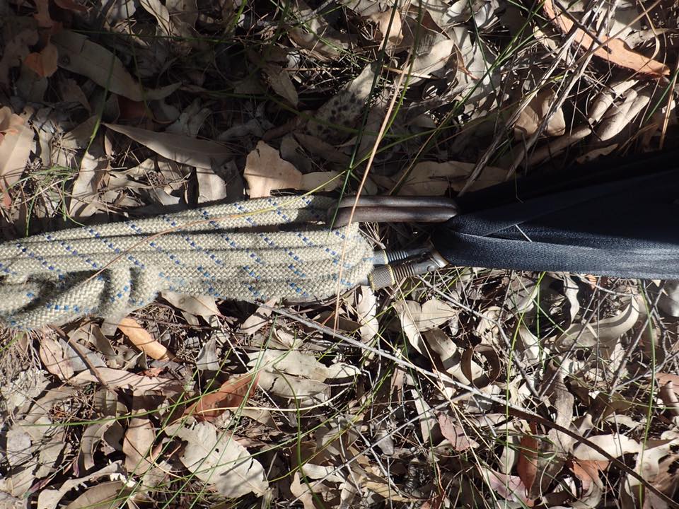 Vertical Rescue Day 11