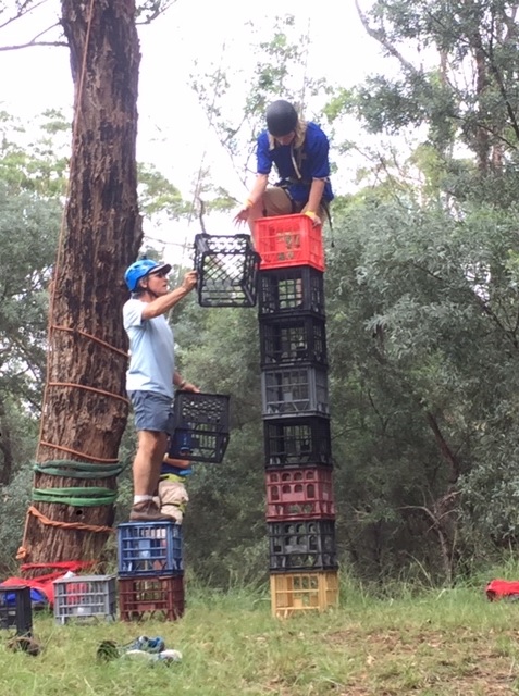 crate stacking 2